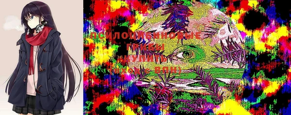 соль ск Кукмор